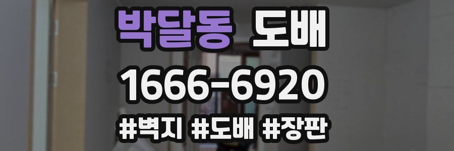 박달동 도배