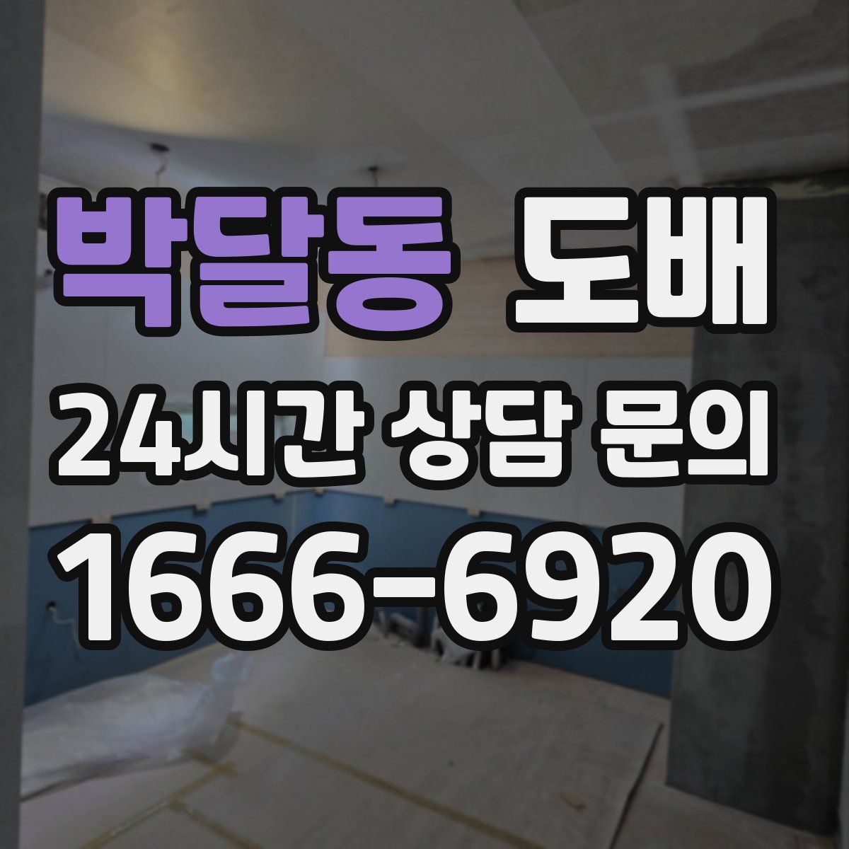 박달동 도배