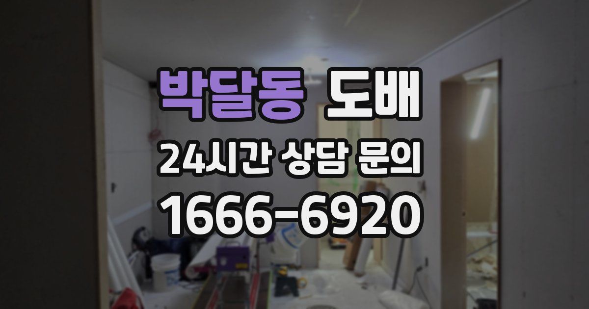 박달동 도배