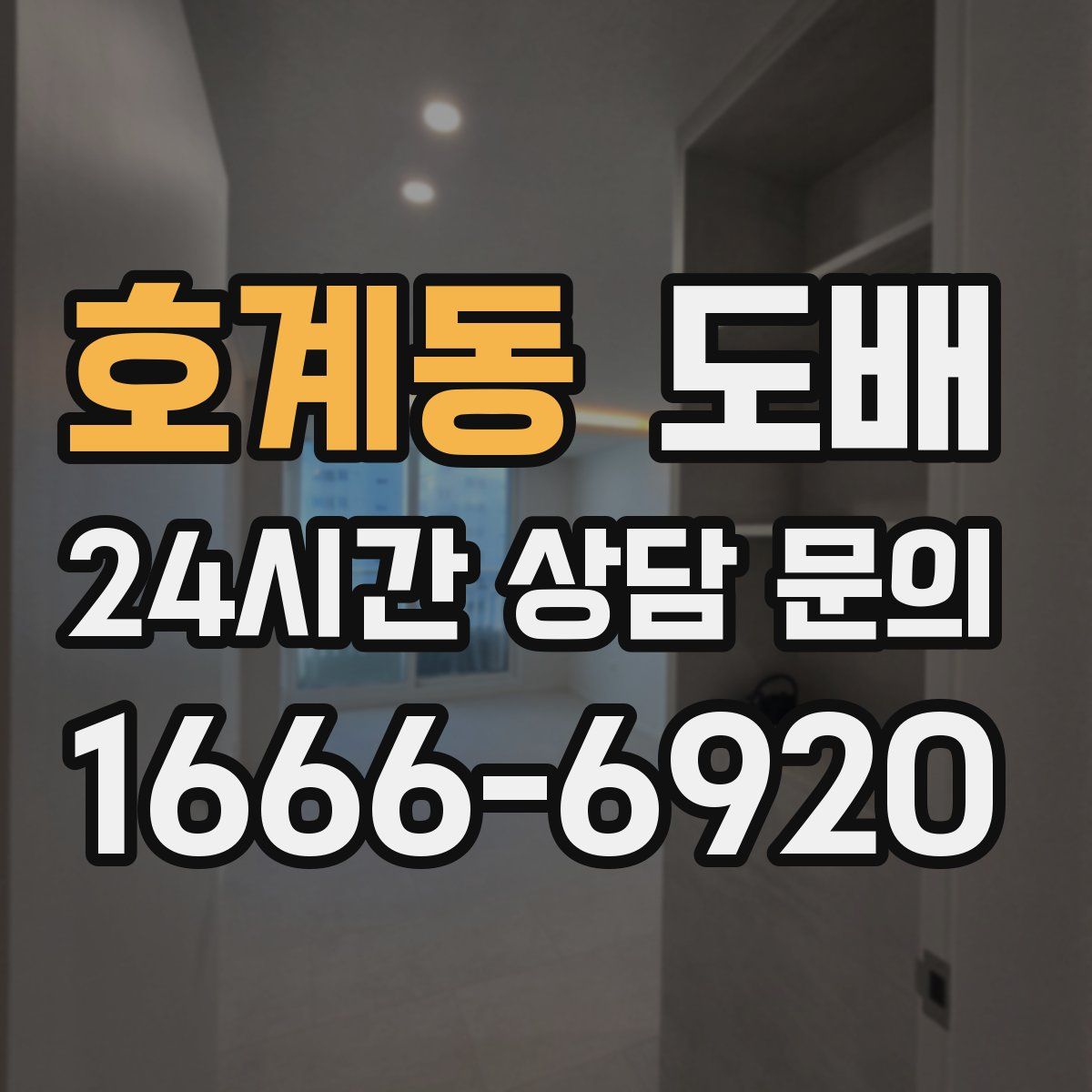 호계동 도배