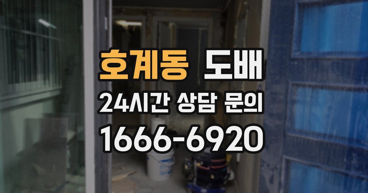 호계동 도배