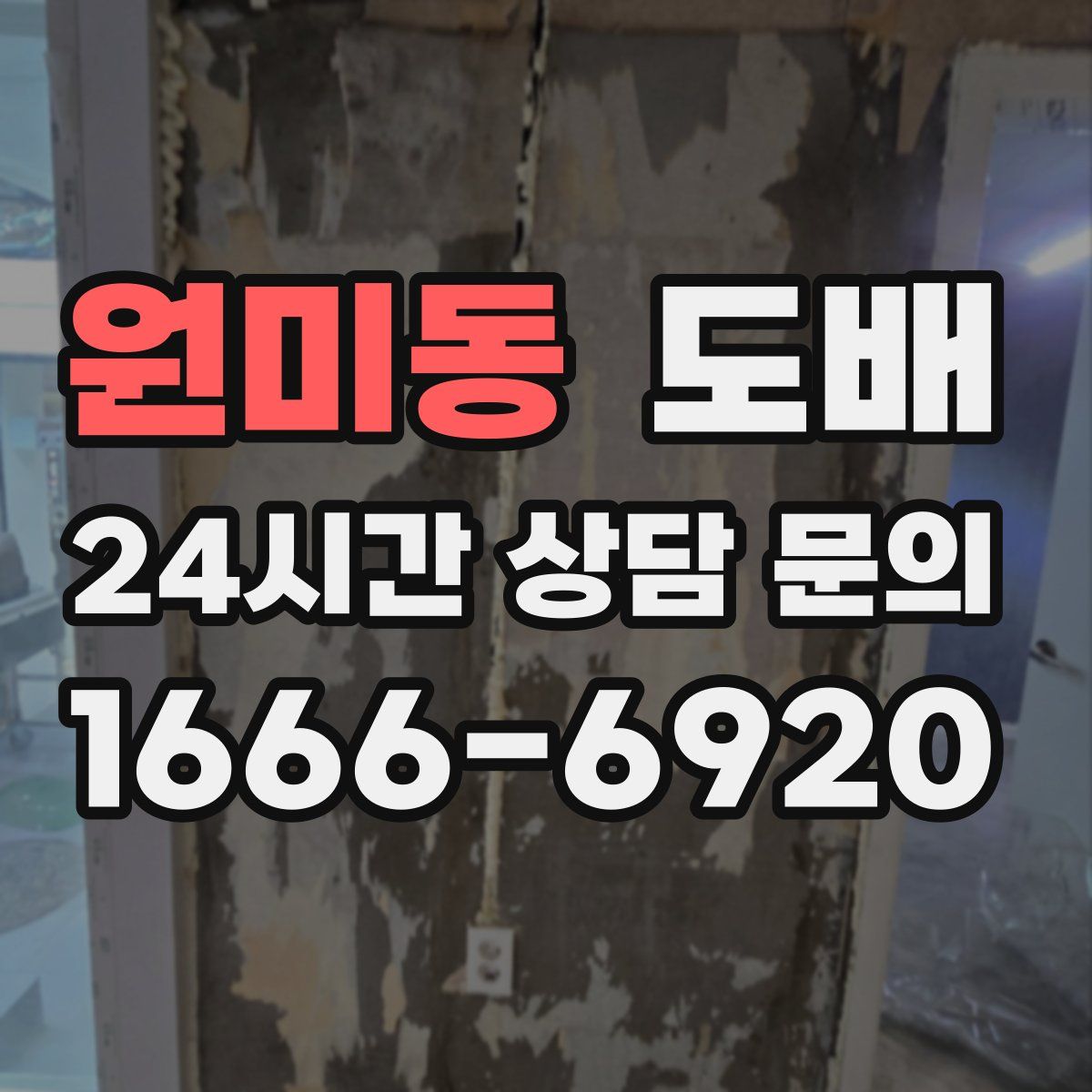 원미동 도배