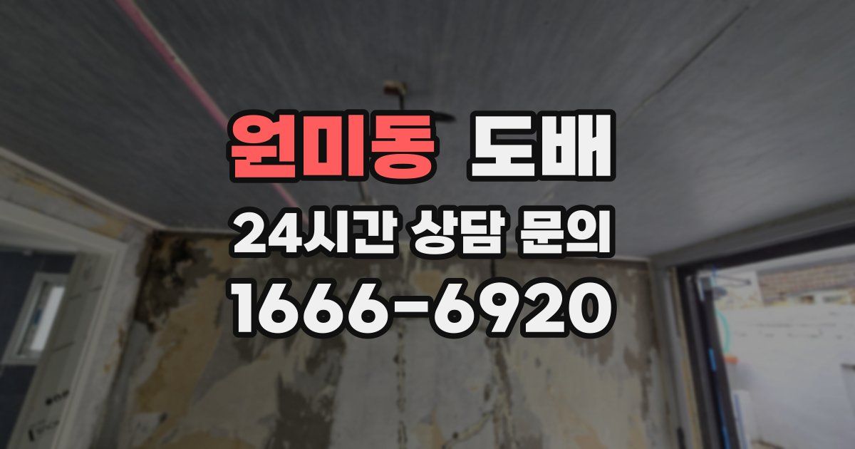 원미동 도배