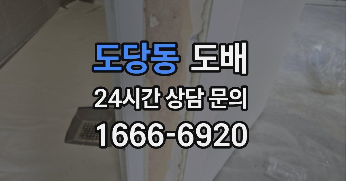 도당동 도배