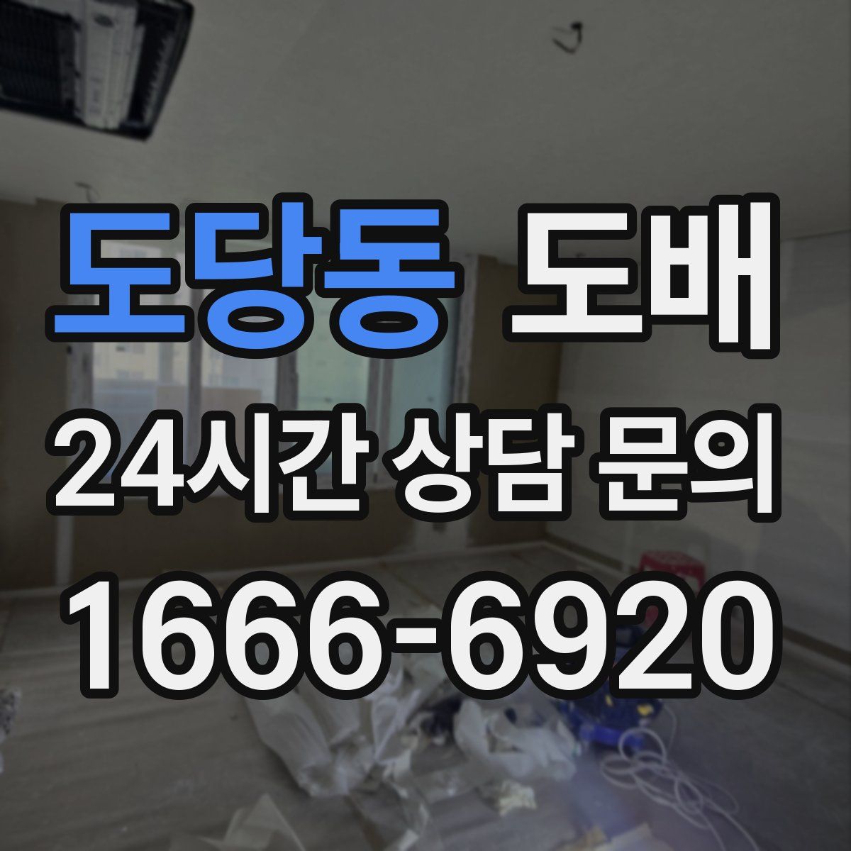 도당동 도배