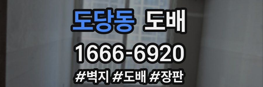 도당동 도배