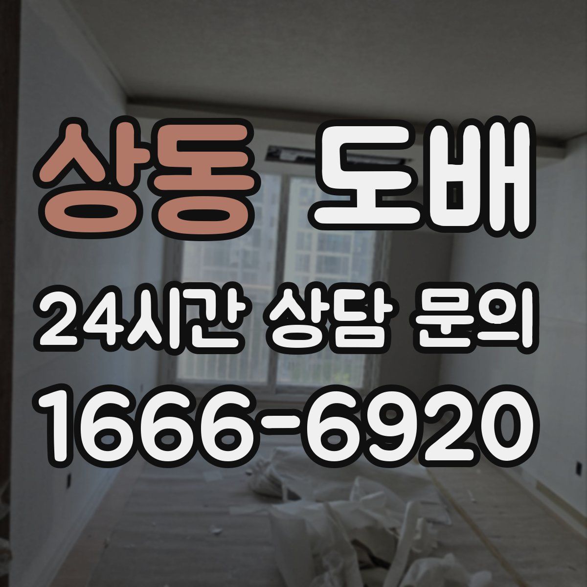 상동 도배