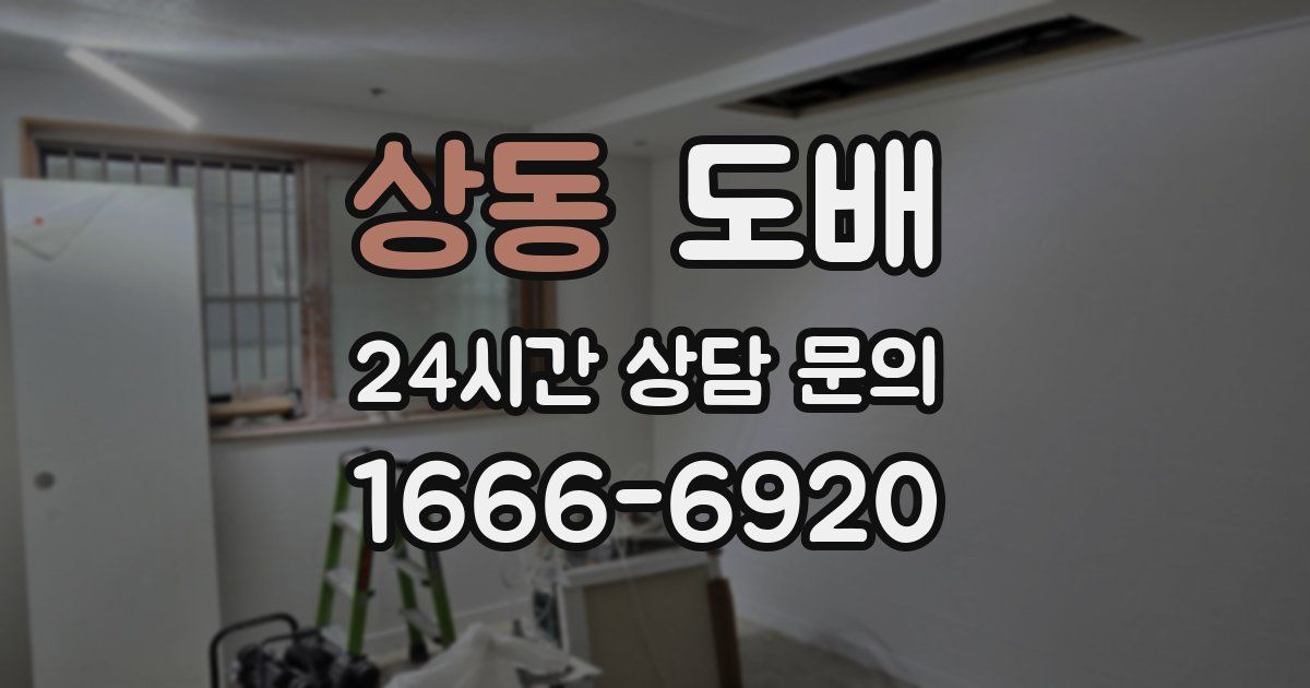 상동 도배