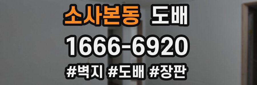 소사본동 도배