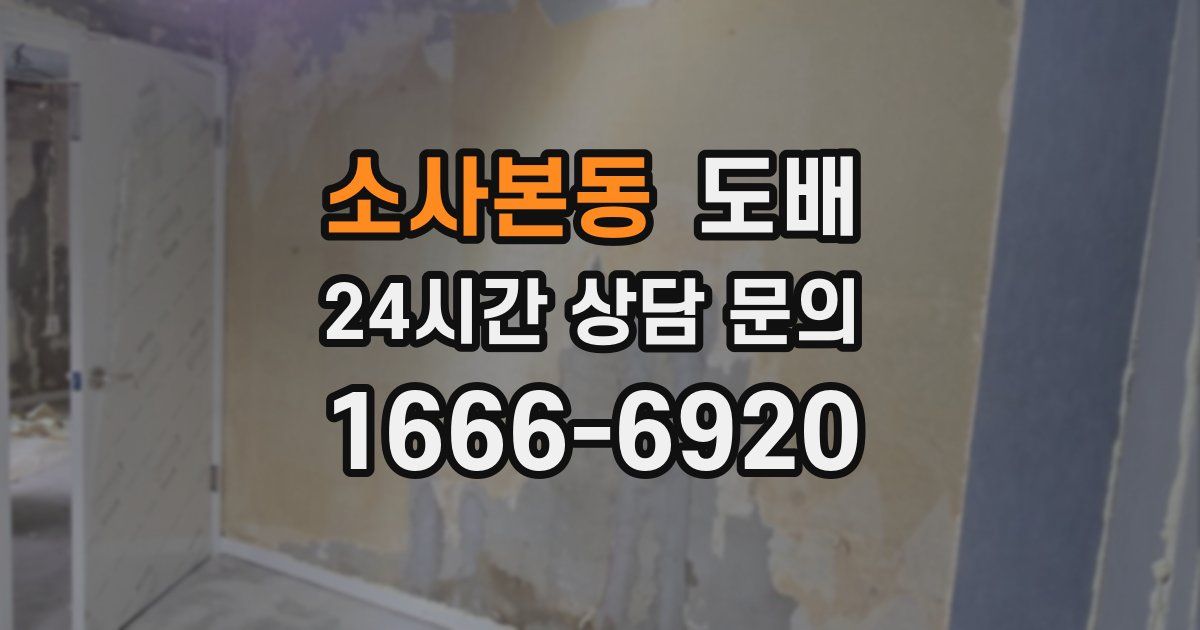 소사본동 도배