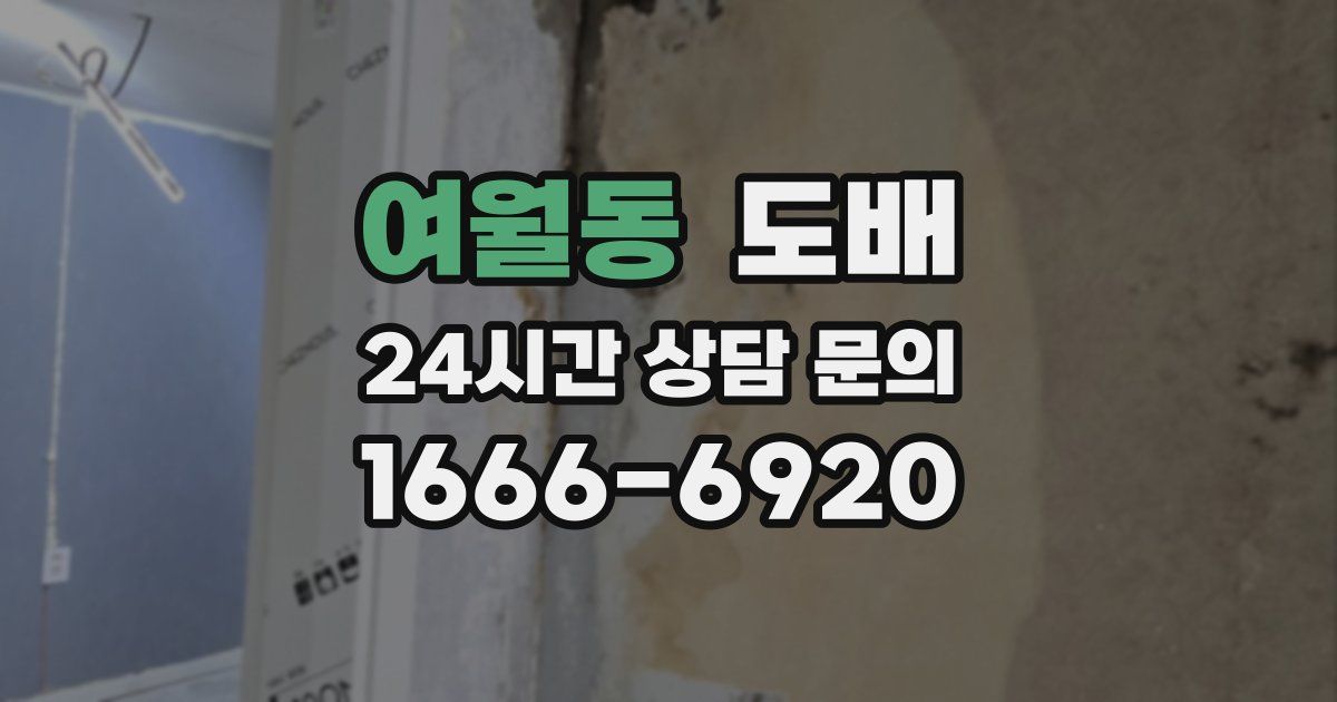 여월동 도배