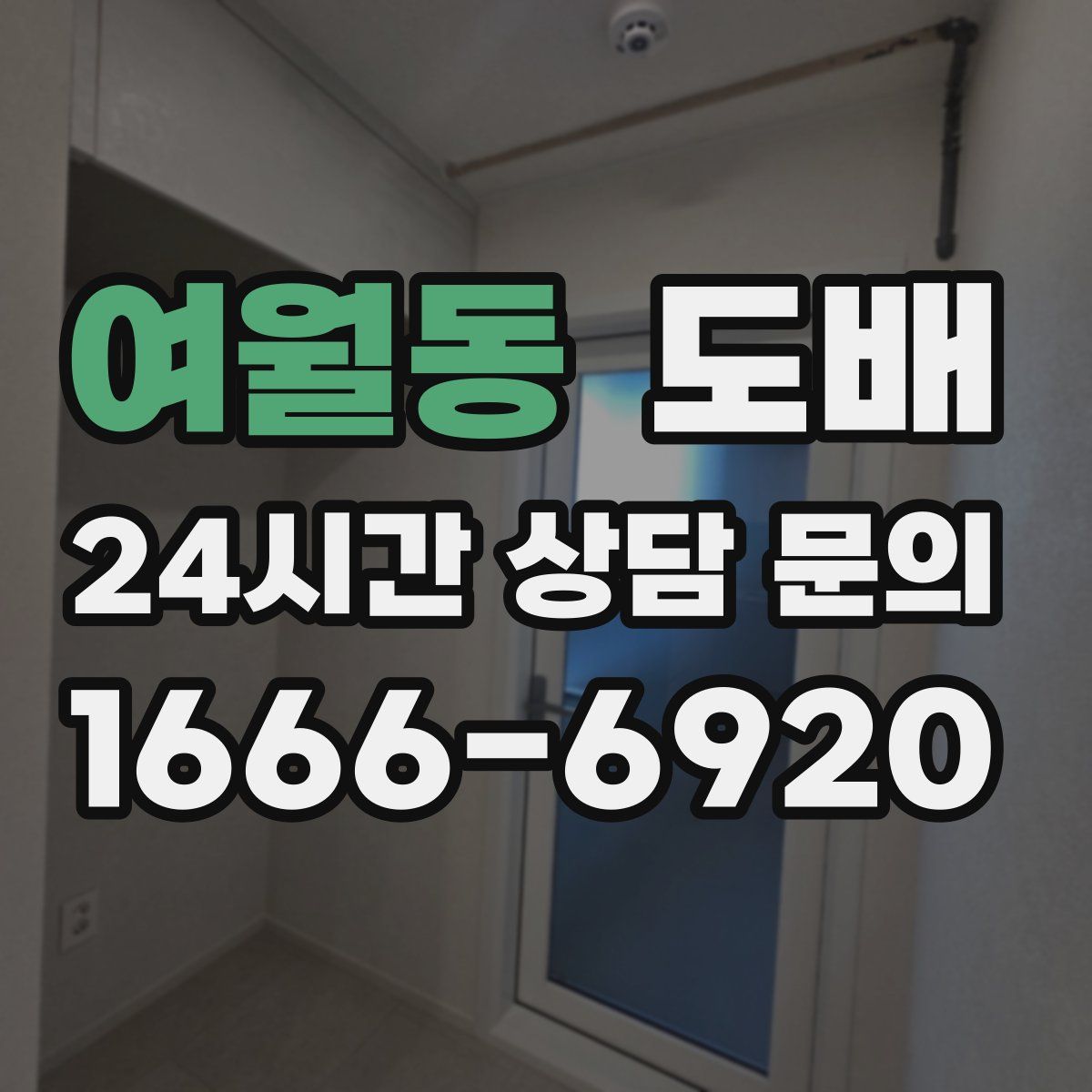 여월동 도배