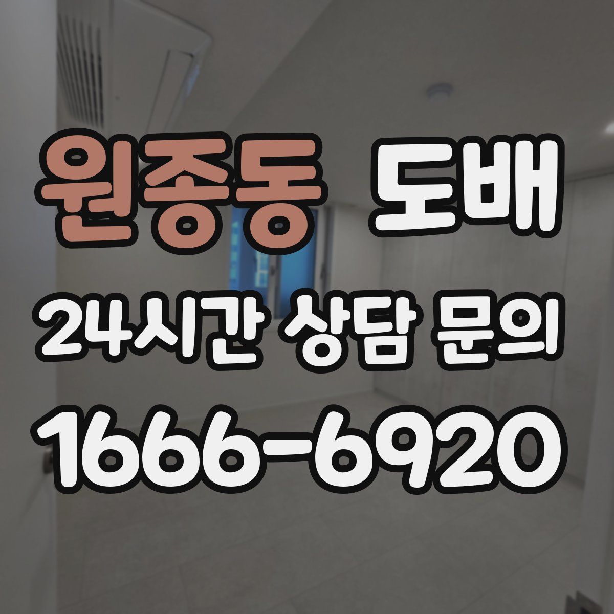 원종동 도배