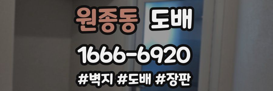 원종동 도배