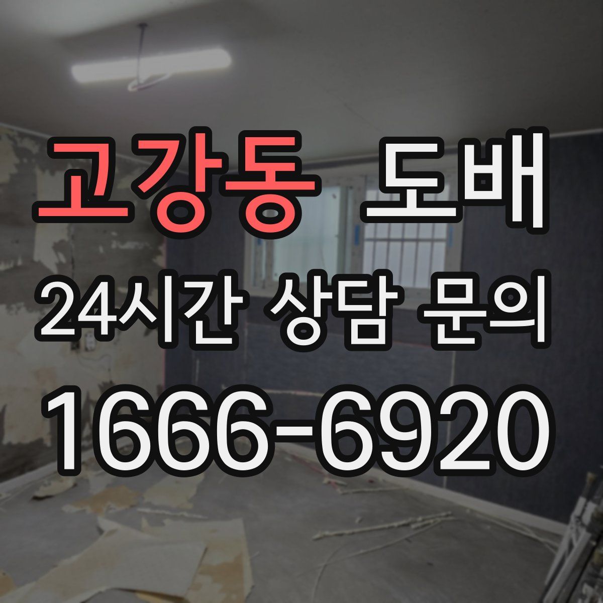 고강동 도배
