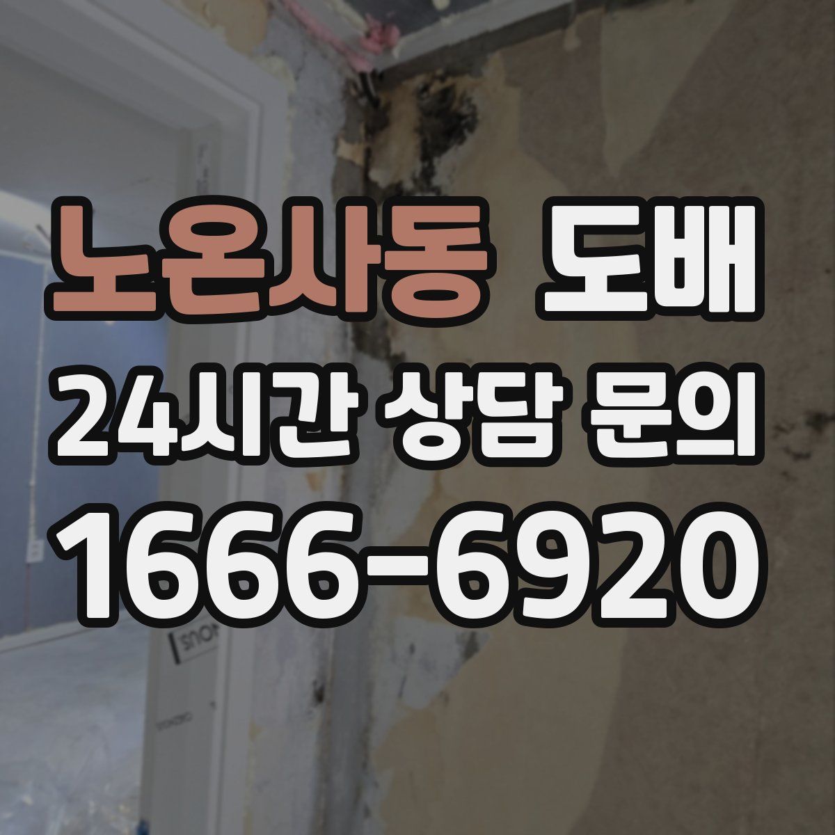 노온사동 도배
