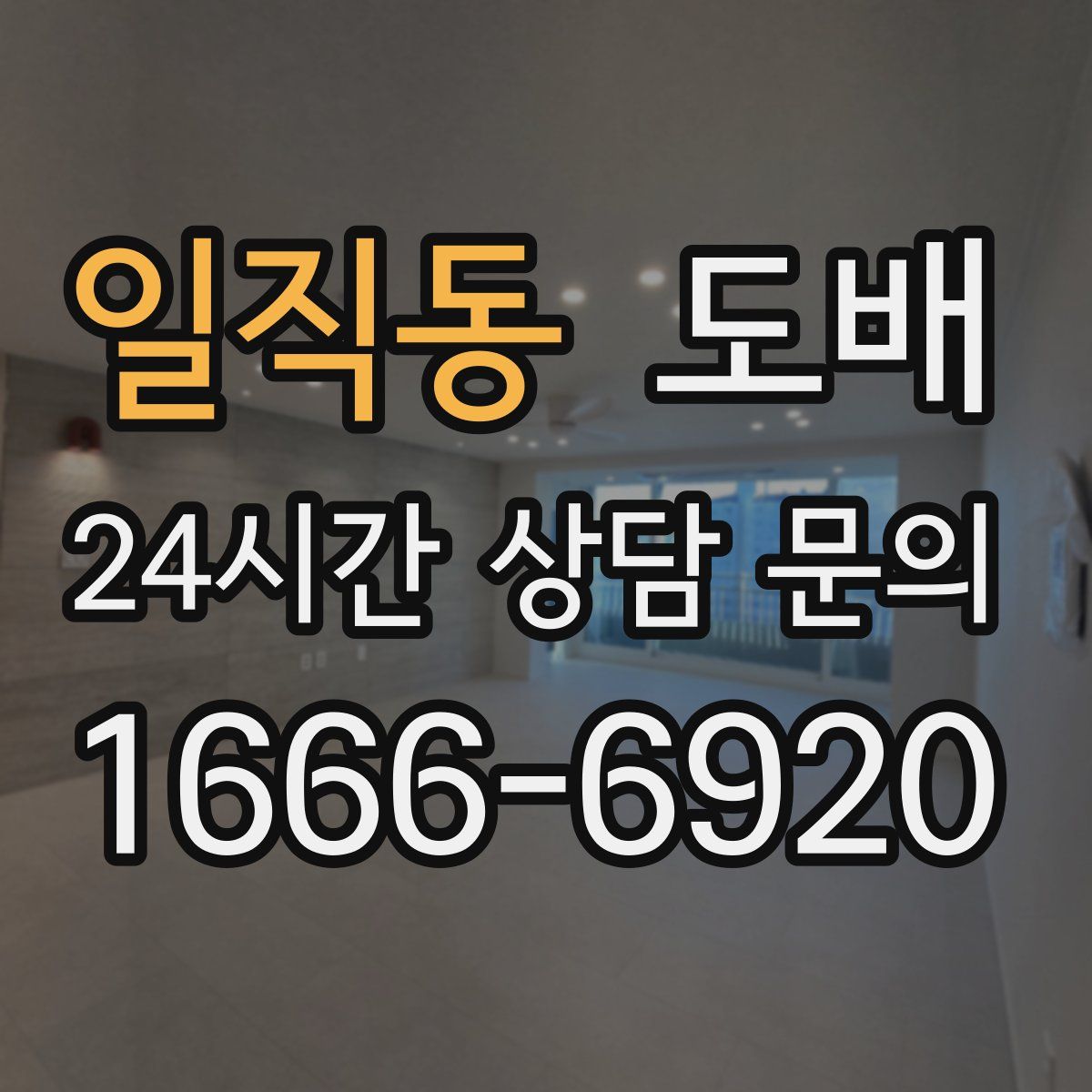 일직동 도배