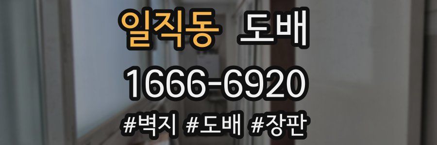 일직동 도배