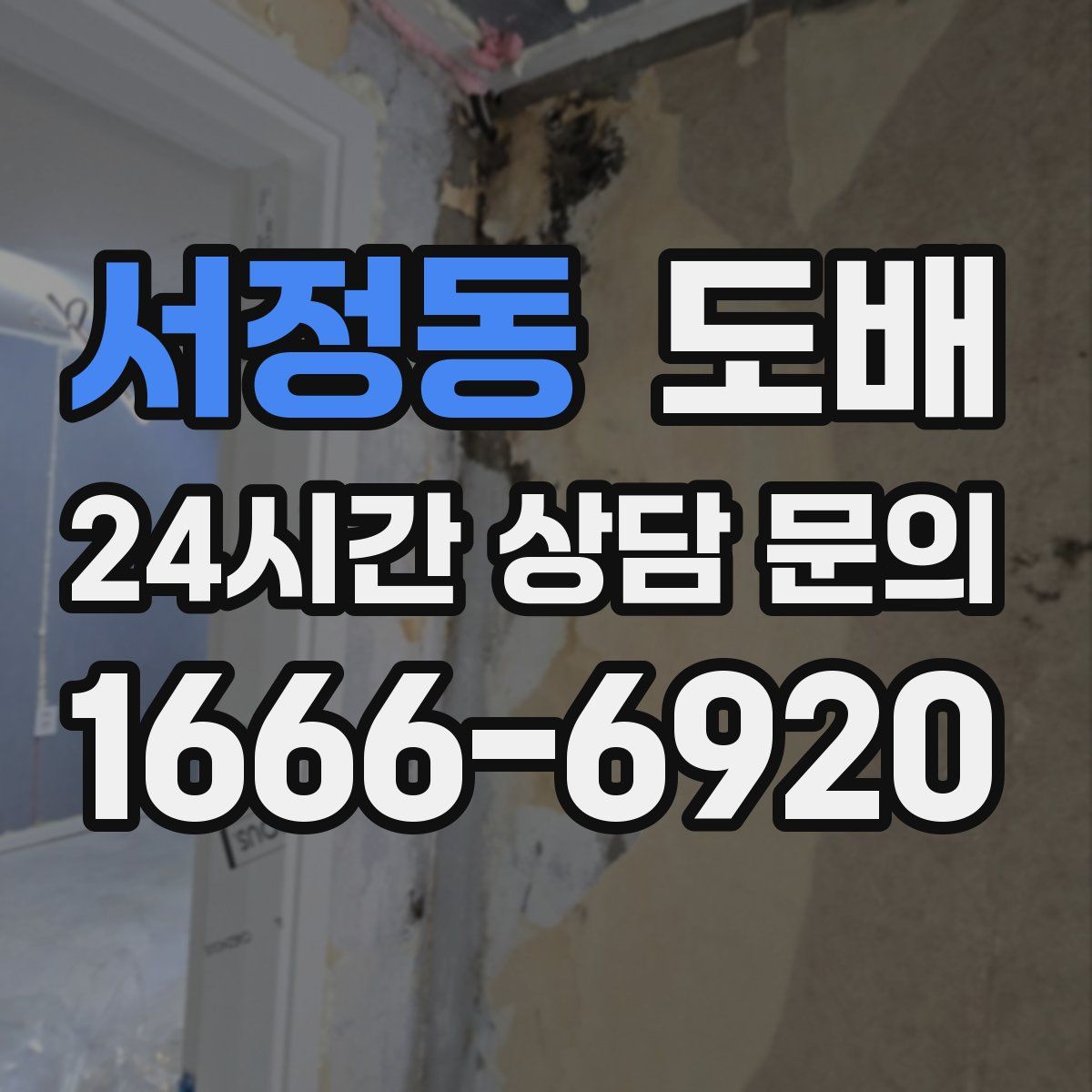 서정동 도배