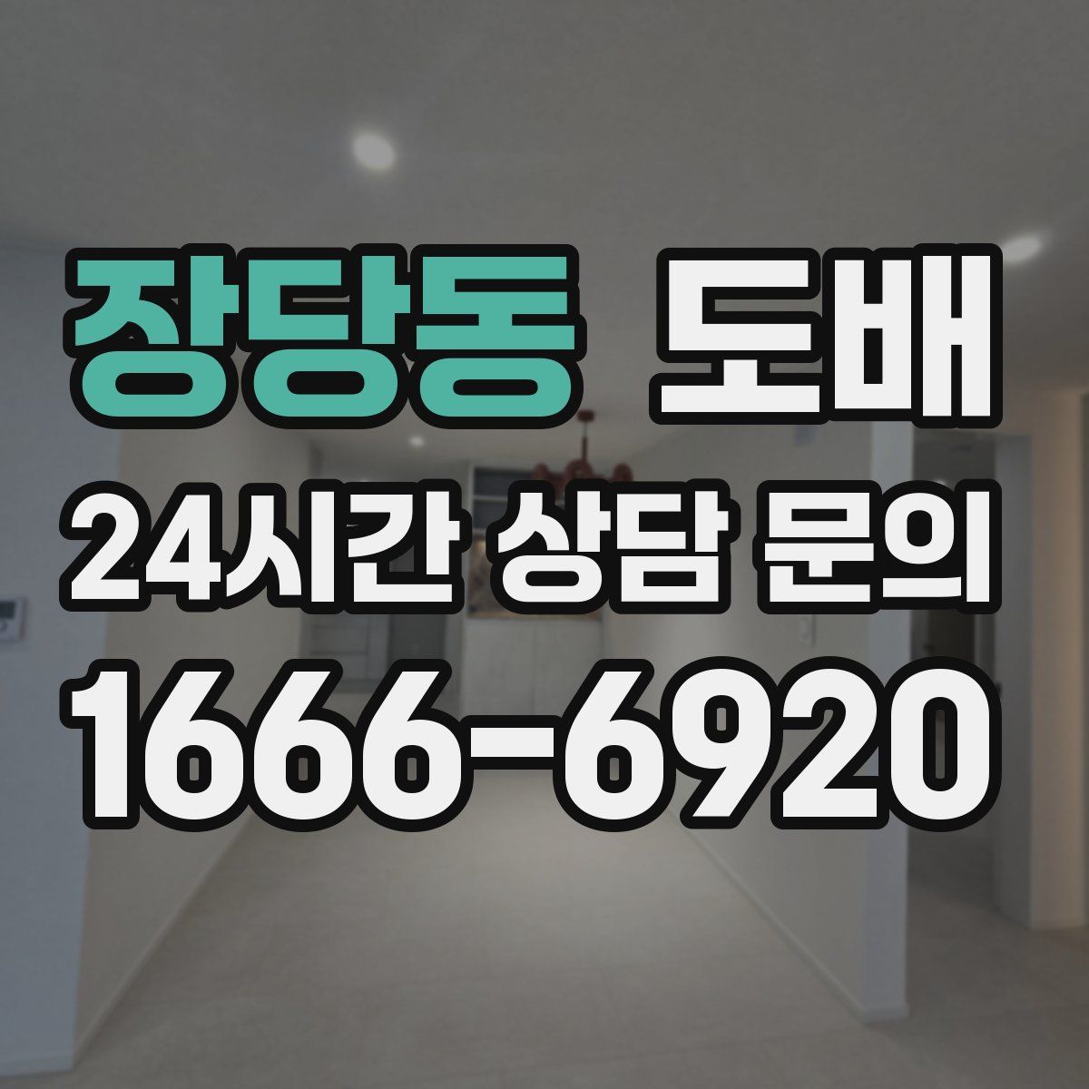 장당동 도배
