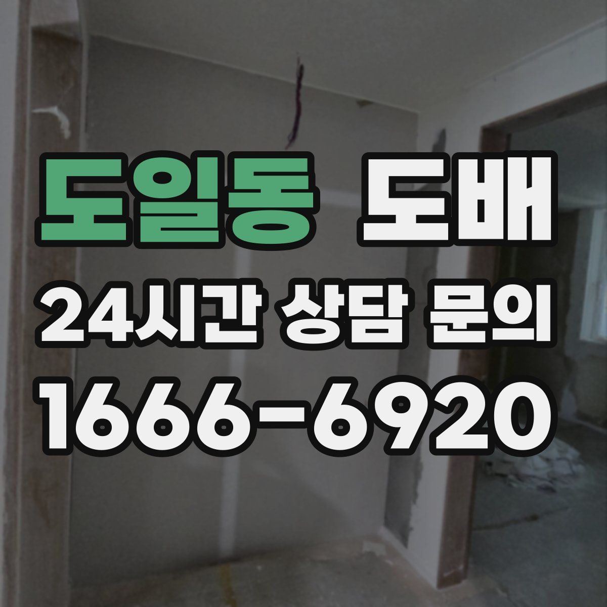 도일동 도배