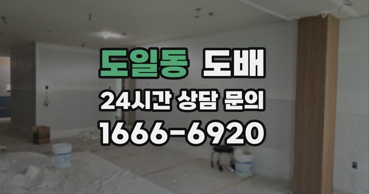 도일동 도배