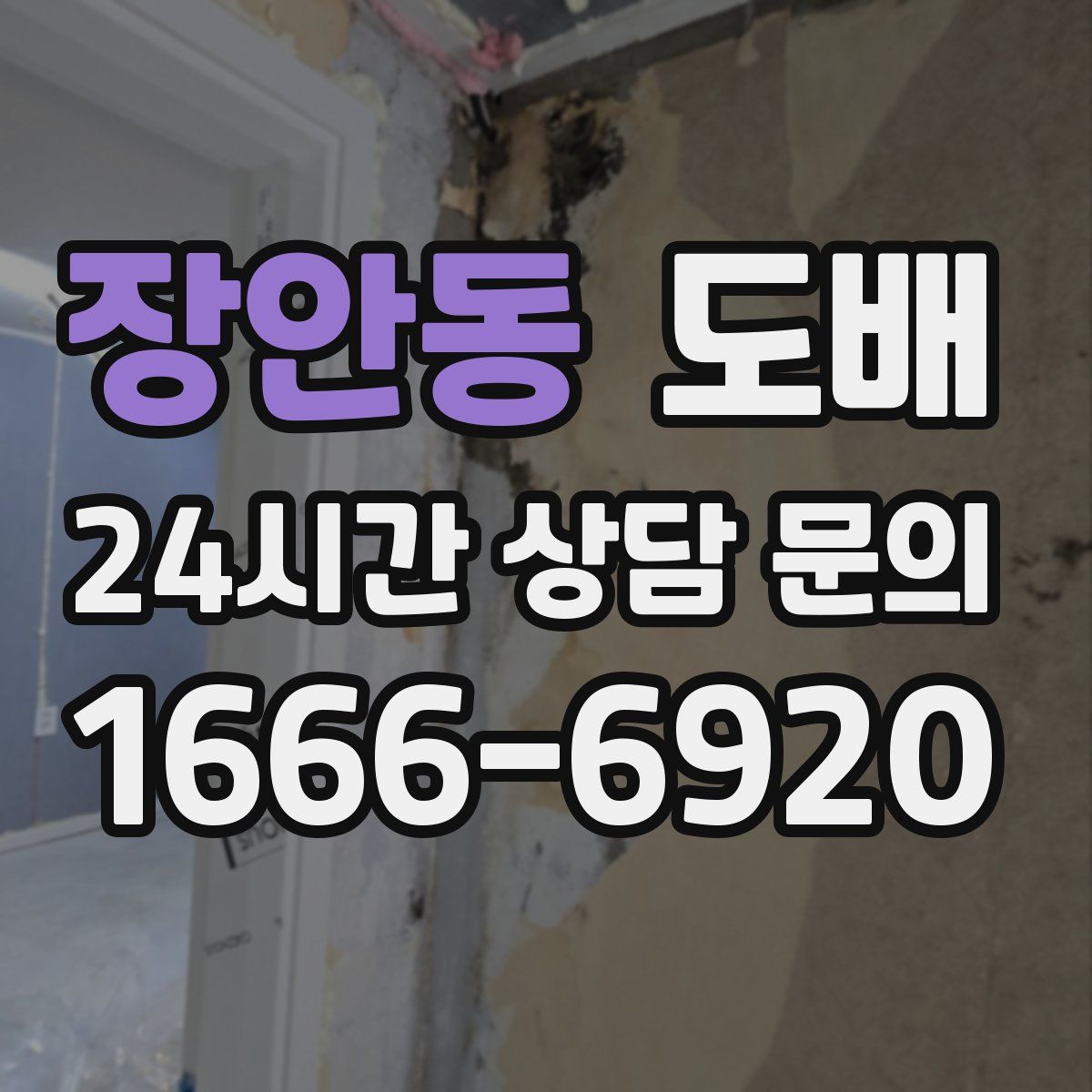 장안동 도배