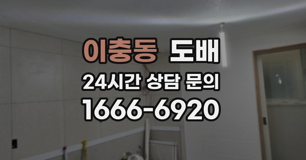 이충동 도배