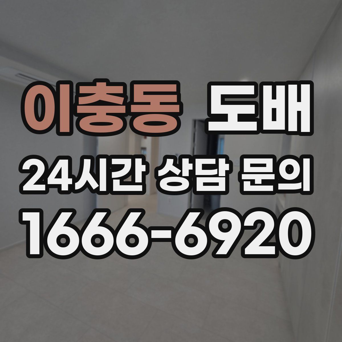 이충동 도배