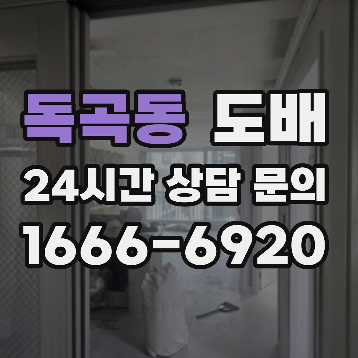 독곡동 도배