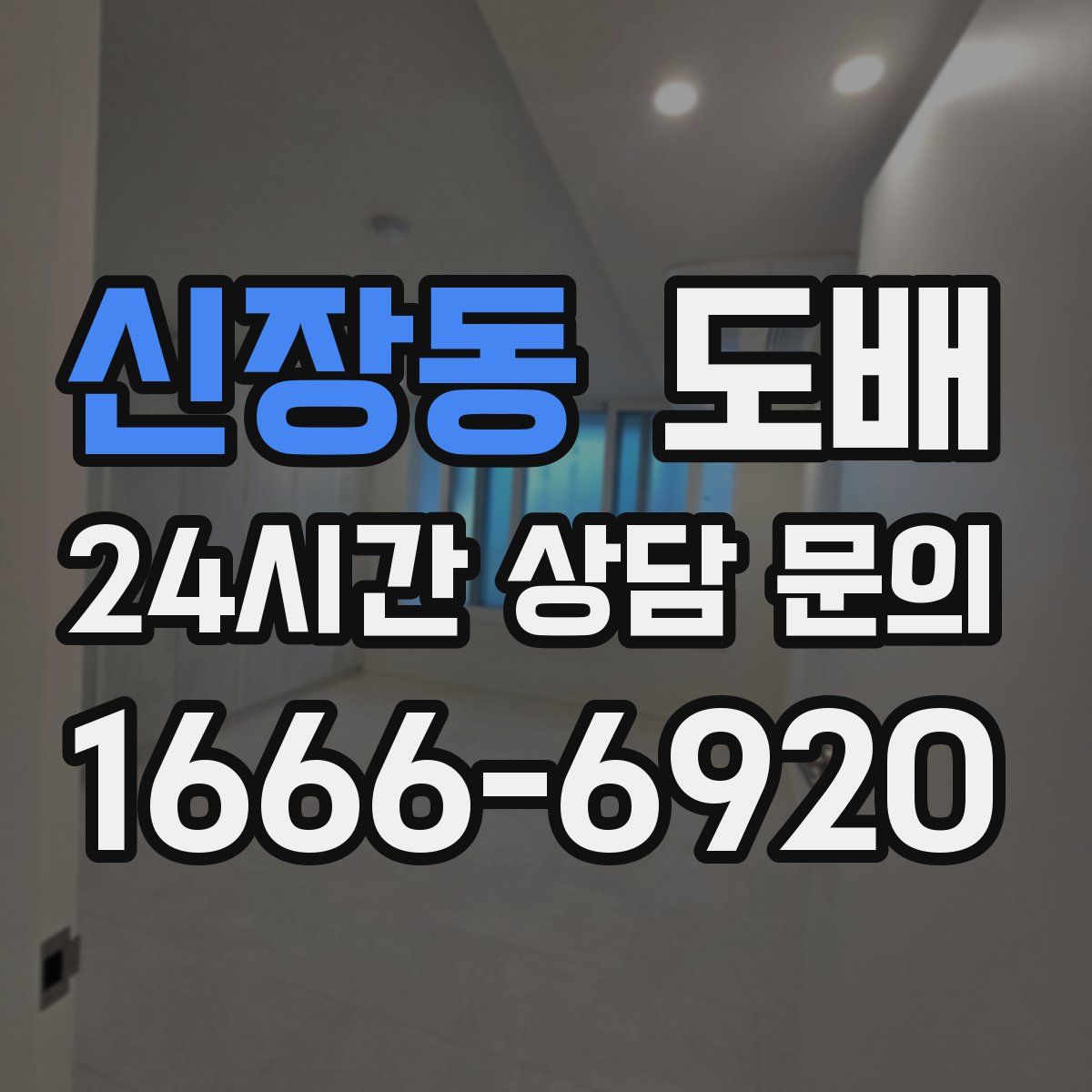 신장동 도배