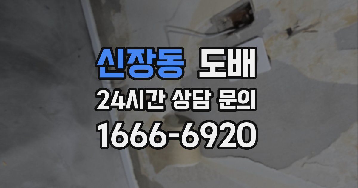 신장동 도배