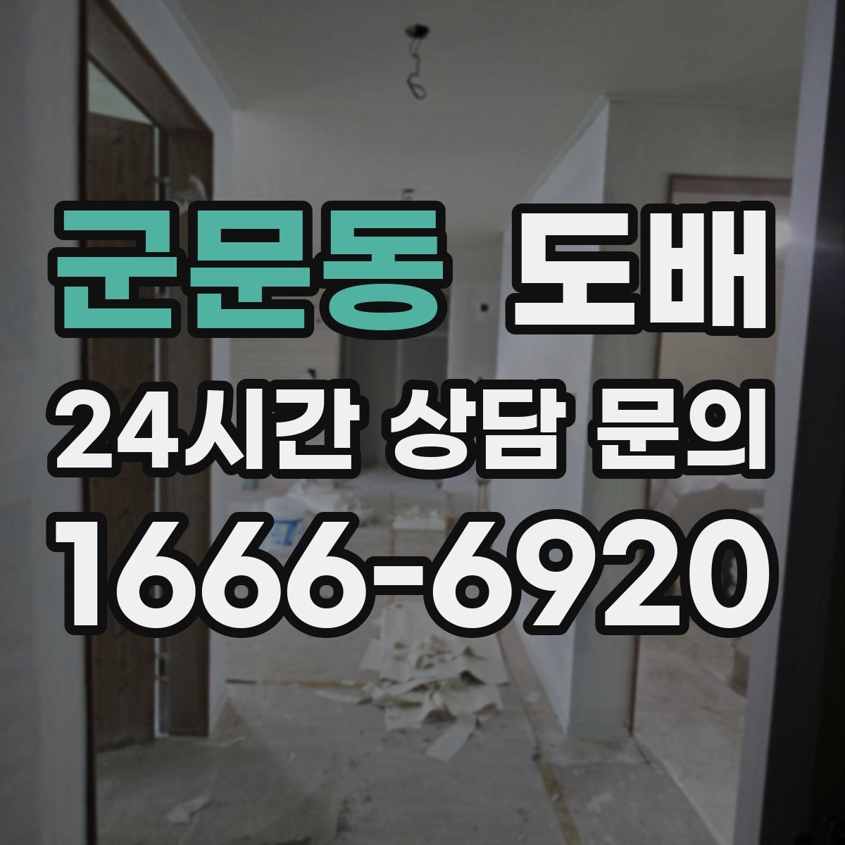군문동 도배