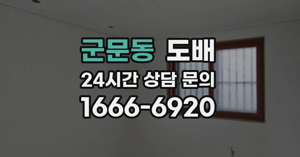 군문동 도배