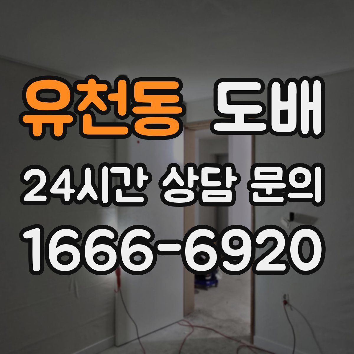 유천동 도배