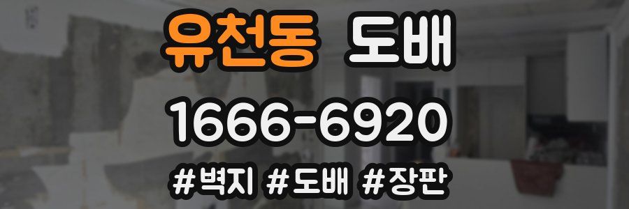 유천동 도배