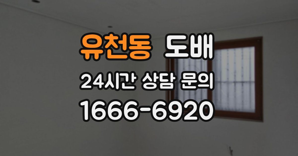 유천동 도배