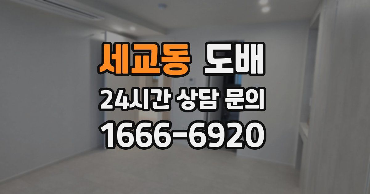 세교동 도배