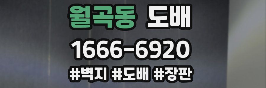 월곡동 도배