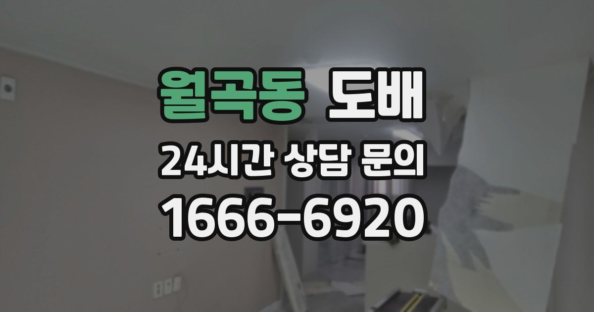 월곡동 도배