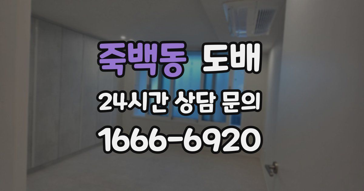 죽백동 도배