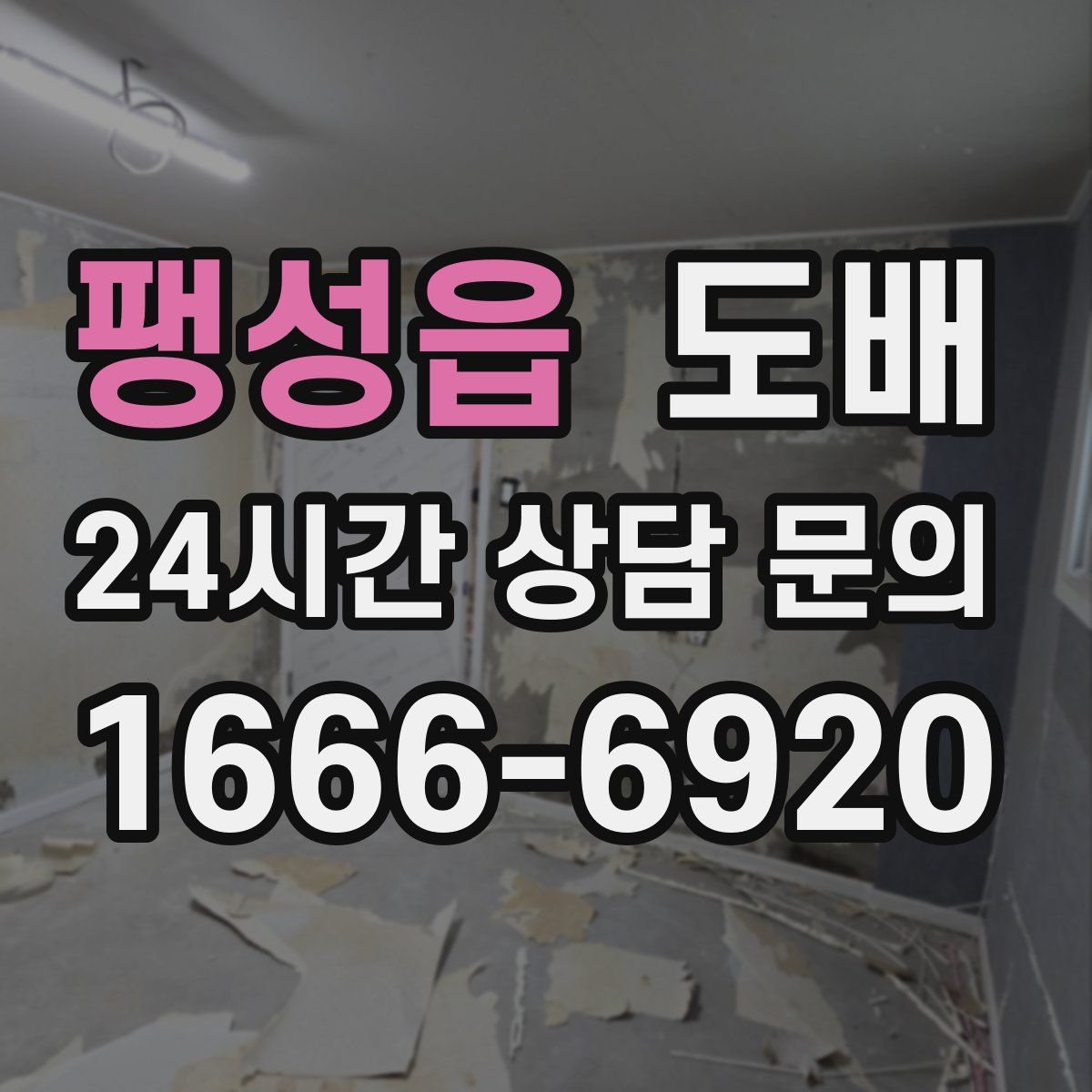 팽성읍 도배
