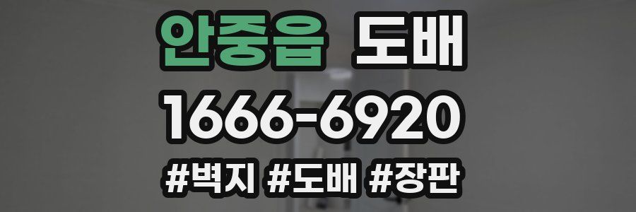 안중읍 도배