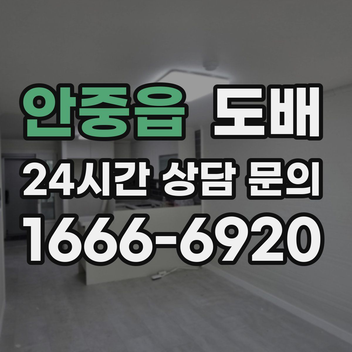 안중읍 도배