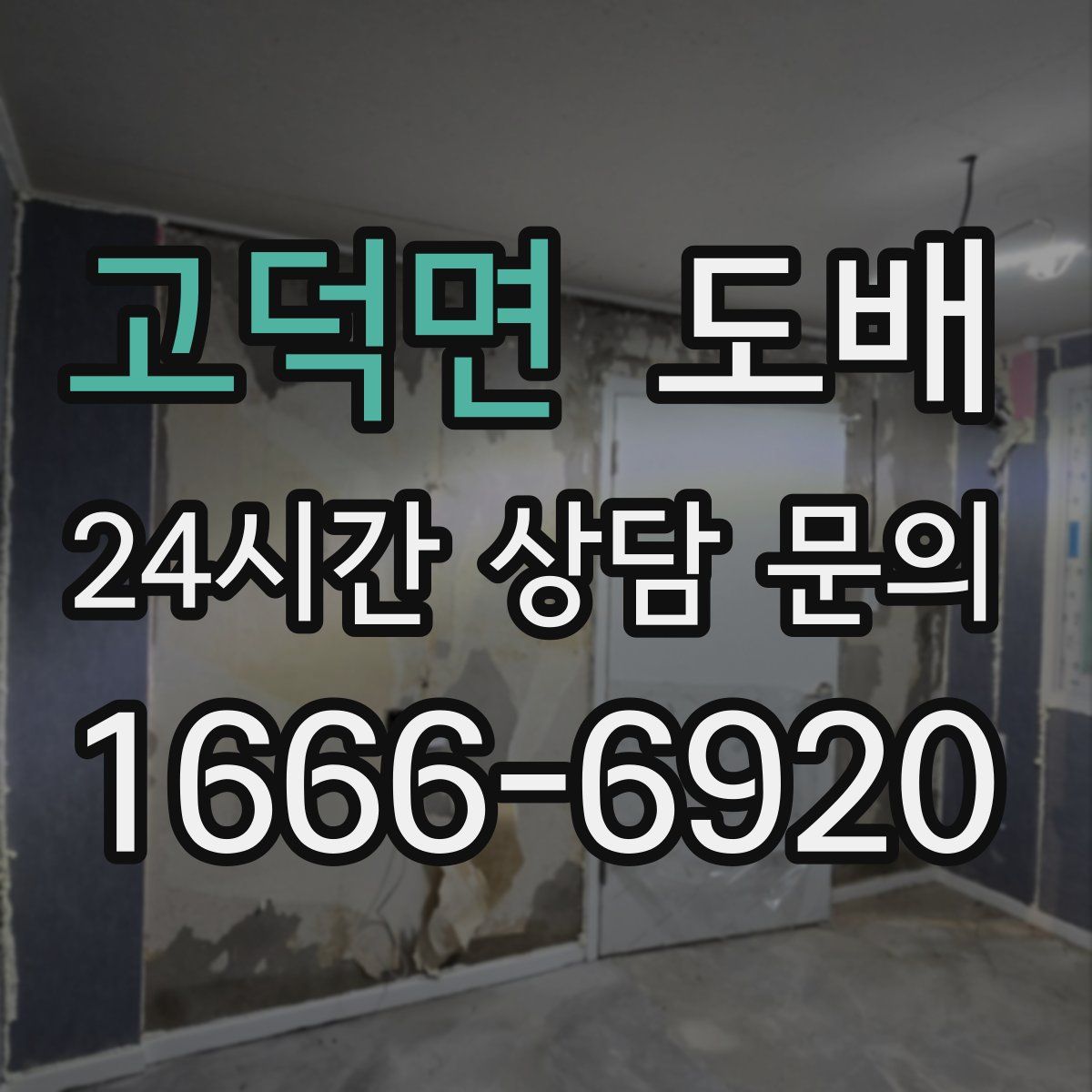 고덕면 도배