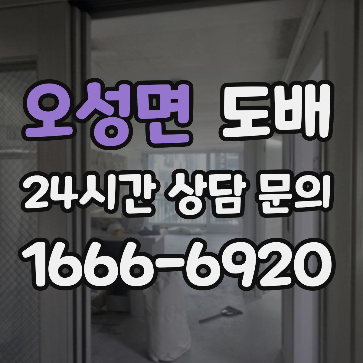 오성면 도배