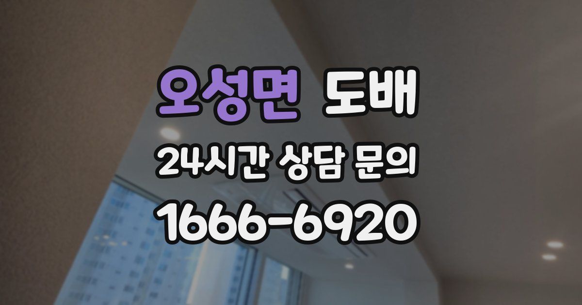 오성면 도배