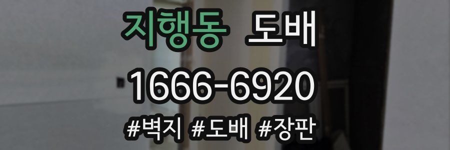 지행동 도배