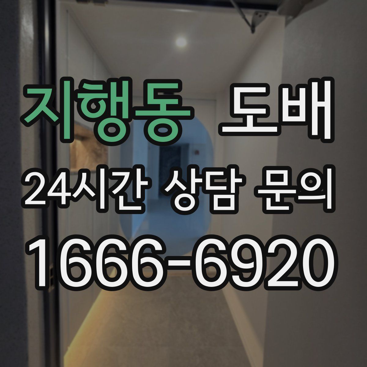 지행동 도배