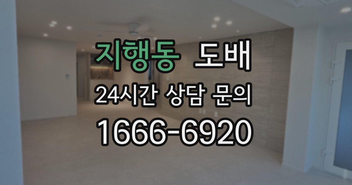 지행동 도배